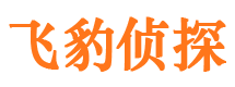 怀宁市私家侦探